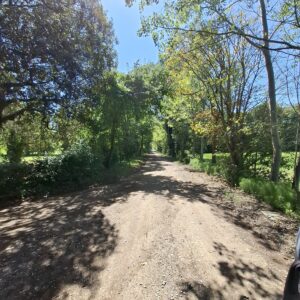 schöner Weg im Veneto